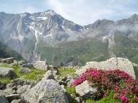 Youri - Ecrins 2005 343